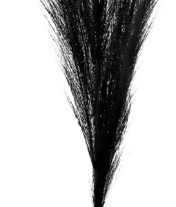 7154 PLUME SCHWARZ 80CM